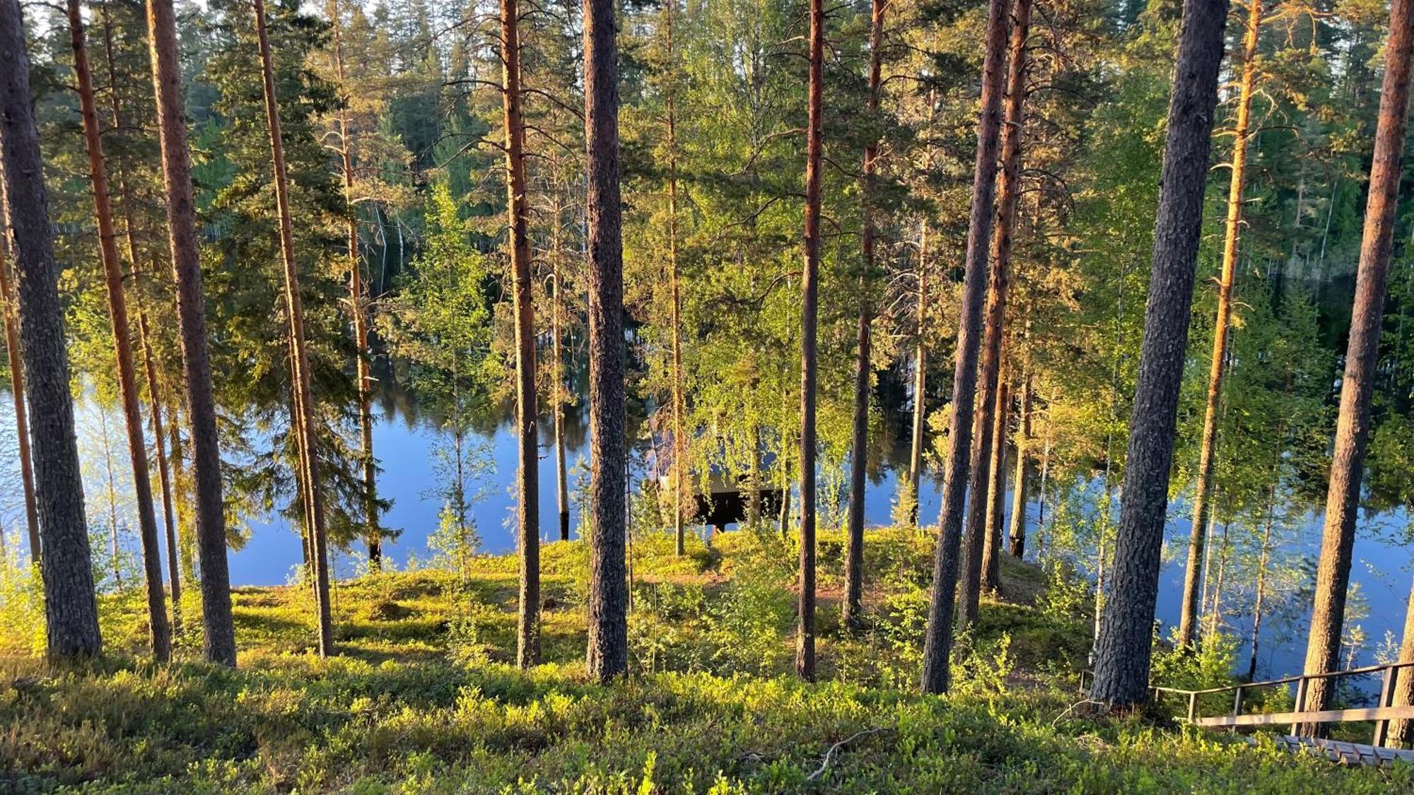Ahvenlampi Camping Saarijärvi Exteriér fotografie