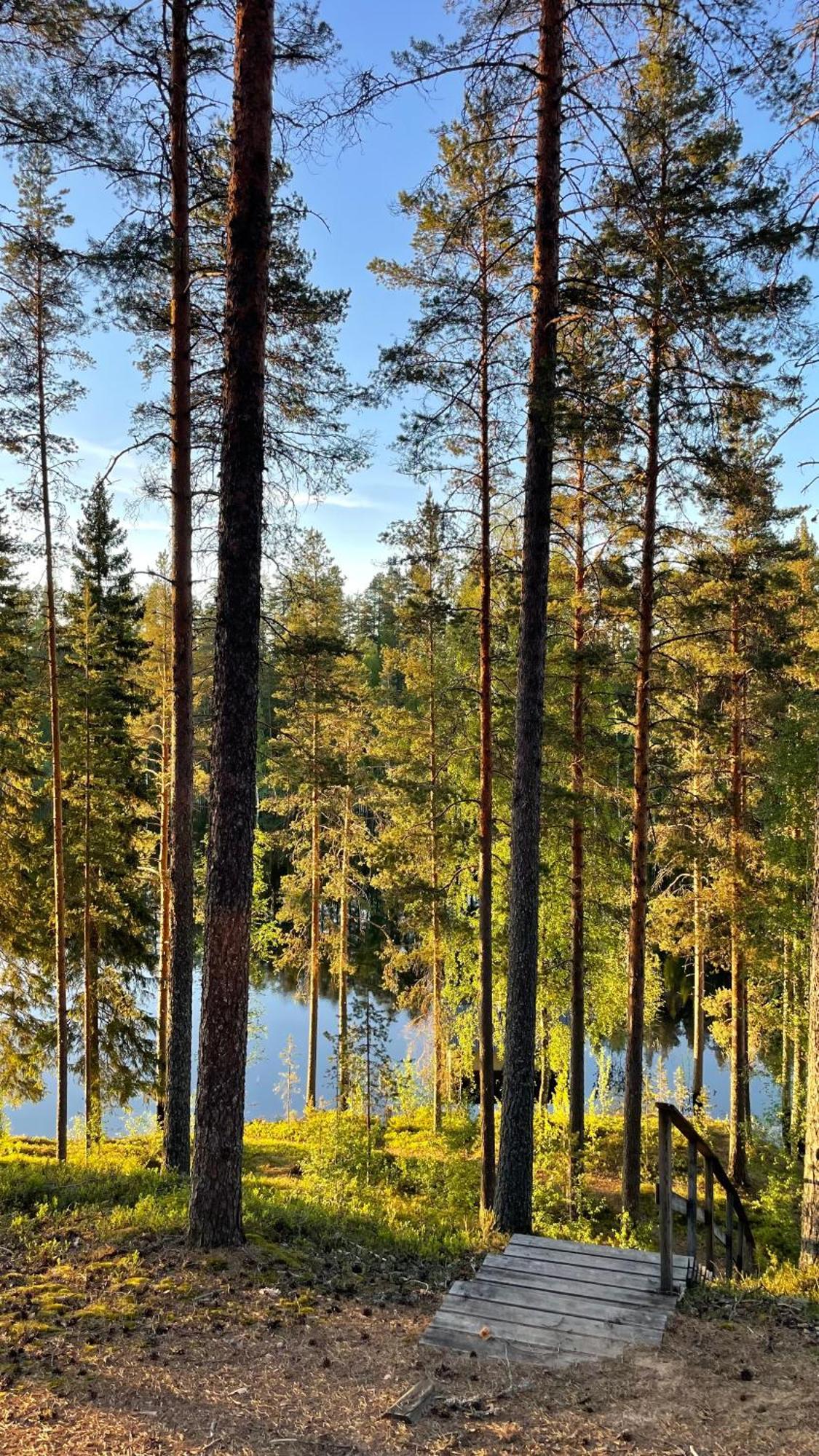 Ahvenlampi Camping Saarijärvi Exteriér fotografie
