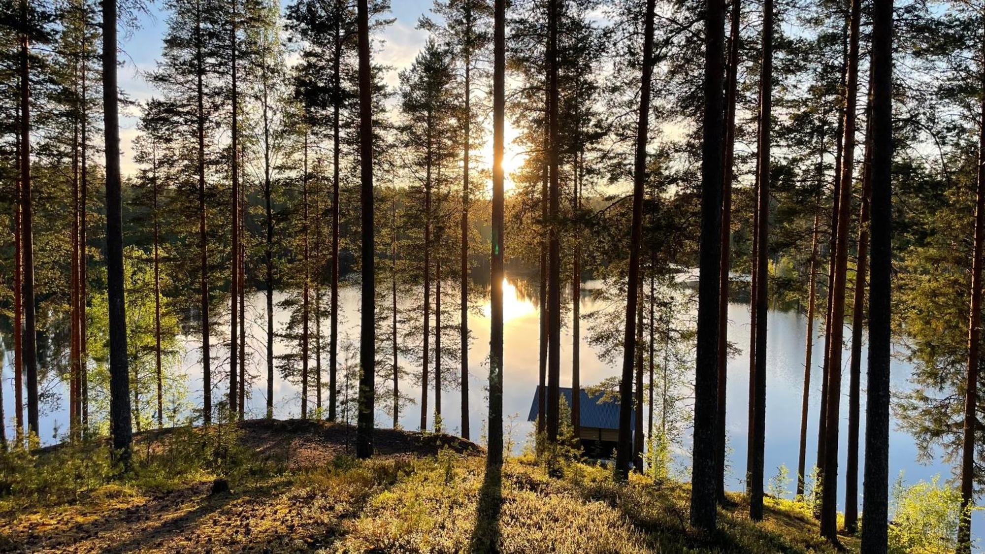 Ahvenlampi Camping Saarijärvi Exteriér fotografie