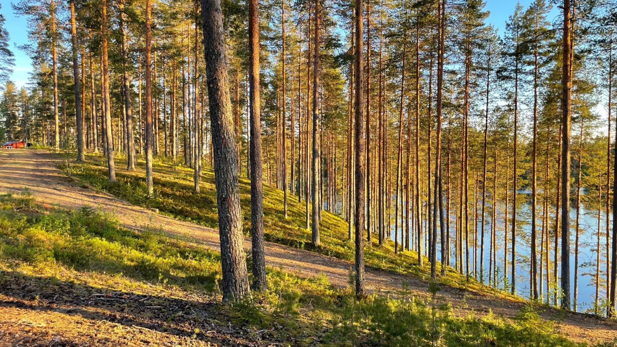 Ahvenlampi Camping Saarijärvi Exteriér fotografie