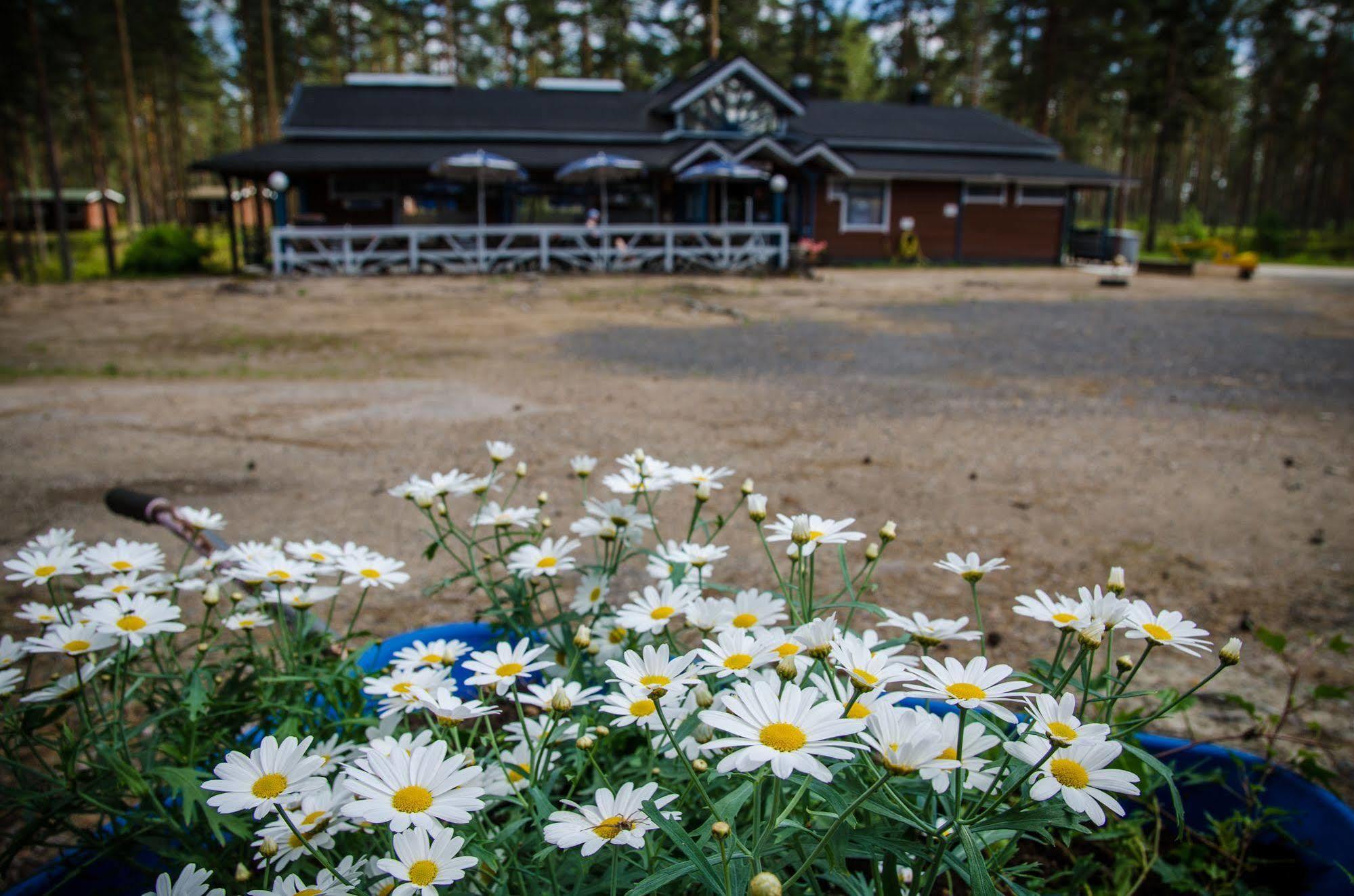Ahvenlampi Camping Saarijärvi Exteriér fotografie