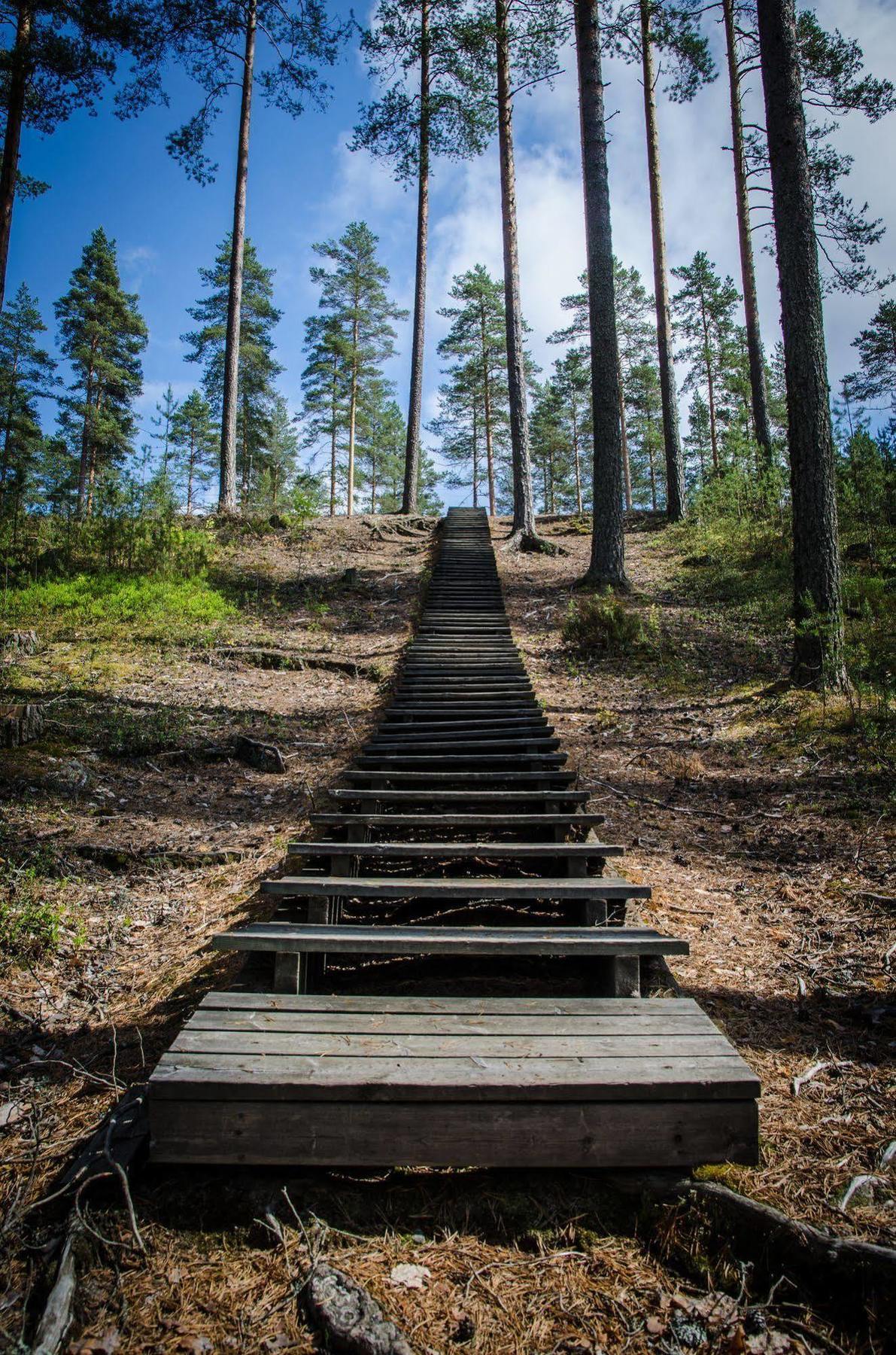 Ahvenlampi Camping Saarijärvi Exteriér fotografie